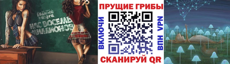 Галлюциногенные грибы Psilocybe  цены   Кувандык 